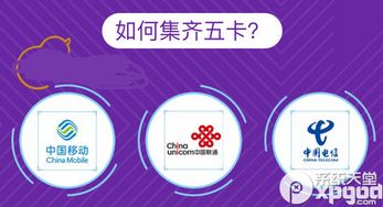 支付宝517通信狂欢节集卡攻略 高效扫码与卡集信息全解析